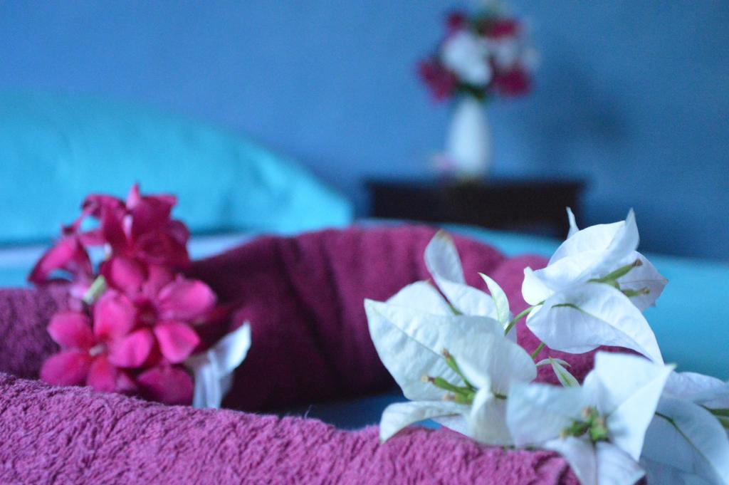 Manga Rosa Hospedagem Каноа-Кебрада Номер фото